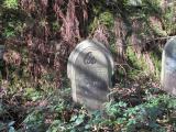 image of grave number 679826